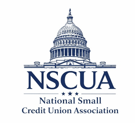 New Group for CUs Under $500 Million in Assets Unveils its Name, Shares Additional Details